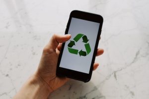 Read more about the article Sustainability: Shaping the Future of Business